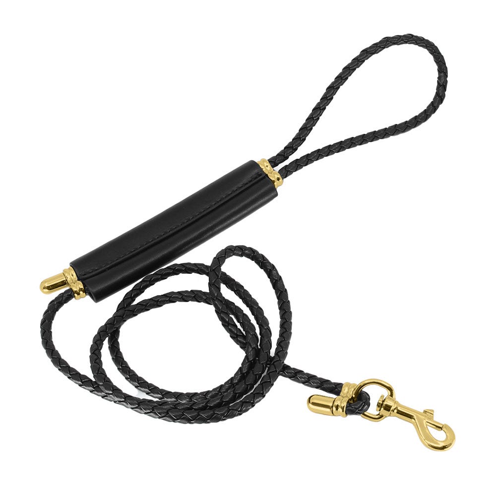 Love in Leather Adjustable Faux Leather Braided Bondage Lead - Gold