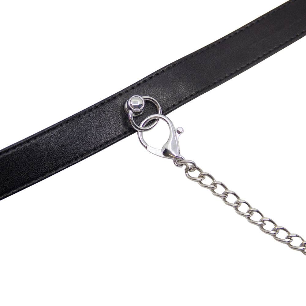 Love in Leather Silver Tipped Collar & Lead