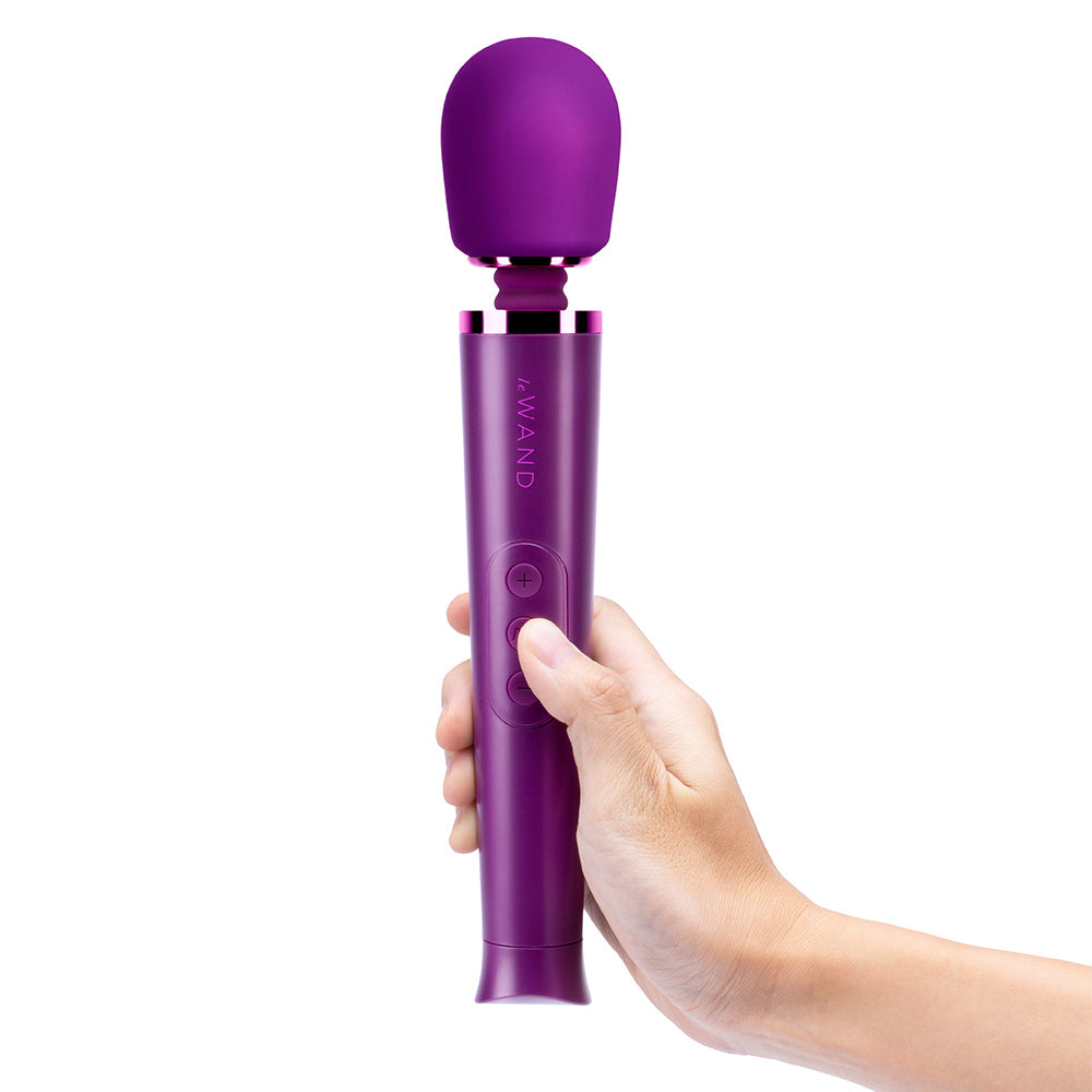 Le Wand Petite Wand Massager
