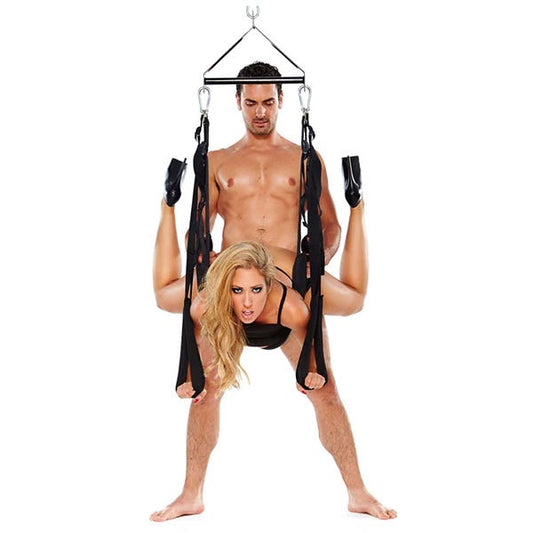 WhipSmart Pleasure Swing