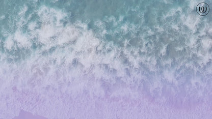 Womanizer DUO 2 Pleasure Air Rabbit Vibrator